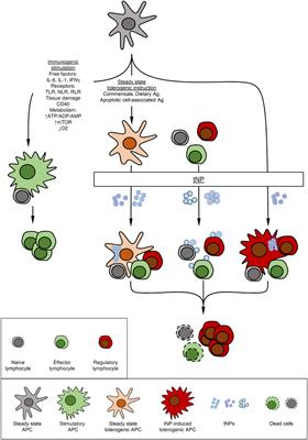 Nanoparticles for the Induction of Frontiers | Immunological Tolerance
